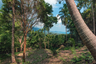 Land for sale in Santikhiri Estate, Na Mueang, Surat Thani
