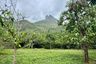 Land for sale in Salalai, Prachuap Khiri Khan
