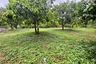 Land for sale in Salalai, Prachuap Khiri Khan