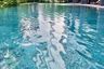 1 Bedroom Condo for rent in Noble Ploenchit, Lumpini, Bangkok near BTS Ploen Chit