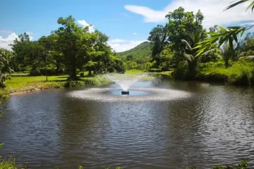 Land for sale in Pran Buri, Prachuap Khiri Khan