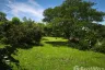 Land for sale in Pran Buri, Prachuap Khiri Khan
