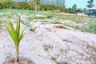 Land for sale in Hin Lek Fai, Prachuap Khiri Khan