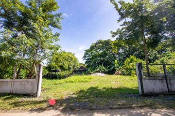 Land for sale in San Kamphaeng, Chiang Mai