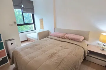 1 Bedroom Condo for rent in Zcape X2, Choeng Thale, Phuket