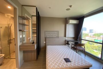 1 Bedroom Condo for rent in Sign Condo Sukhumvit 50, Phra Khanong, Bangkok near BTS On Nut