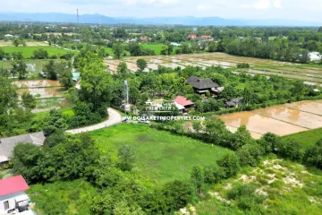 Land for sale in Pa Lan, Chiang Mai