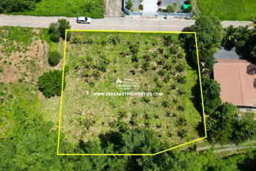 Land for sale in Pa Pong, Chiang Mai