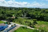 Land for sale in Pa Pong, Chiang Mai