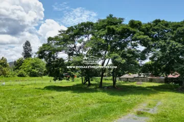 Land for sale in Pa Pong, Chiang Mai