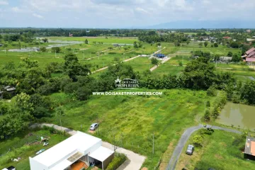 Land for sale in Choeng Doi, Chiang Mai