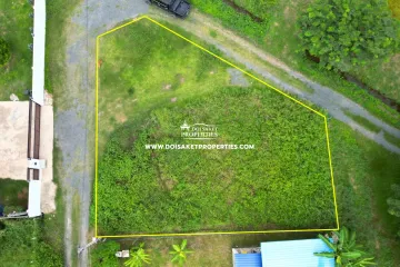 Land for sale in Choeng Doi, Chiang Mai
