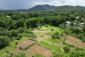 Land for sale in Luang Nuea, Chiang Mai