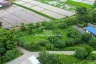 Land for sale in Nong Yaeng, Chiang Mai