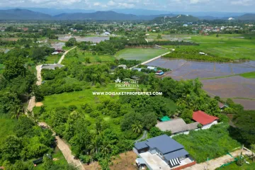 Land for sale in Luang Nuea, Chiang Mai