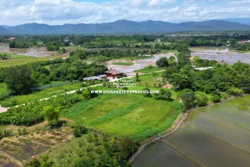 Land for sale in Luang Nuea, Chiang Mai