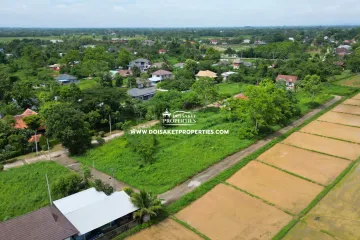 Land for sale in Pa Pong, Chiang Mai