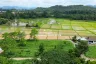 Land for sale in Pa Pong, Chiang Mai