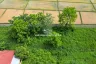 Land for sale in Pa Pong, Chiang Mai