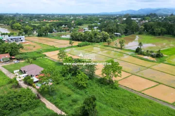 Land for sale in Pa Pong, Chiang Mai