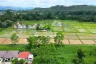 Land for sale in Pa Pong, Chiang Mai