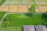 Land for sale in Pa Pong, Chiang Mai