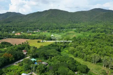 Land for sale in Luang Nuea, Chiang Mai