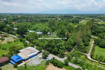 Land for sale in Luang Nuea, Chiang Mai