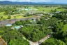 Land for sale in Pa Pong, Chiang Mai