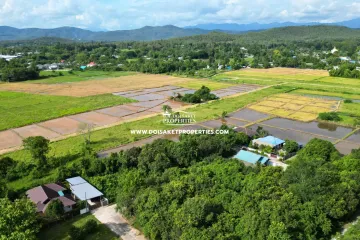 Land for sale in Pa Pong, Chiang Mai