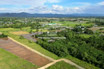 Land for sale in Pa Pong, Chiang Mai