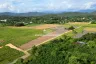 Land for sale in Pa Pong, Chiang Mai
