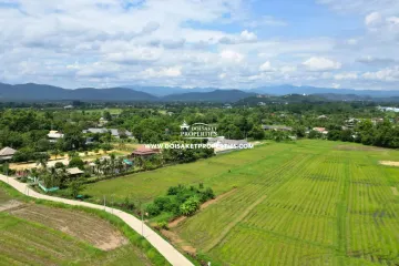Land for sale in Luang Nuea, Chiang Mai