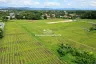Land for sale in Luang Nuea, Chiang Mai