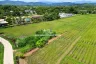 Land for sale in Luang Nuea, Chiang Mai