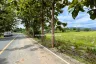 Land for sale in Luang Nuea, Chiang Mai
