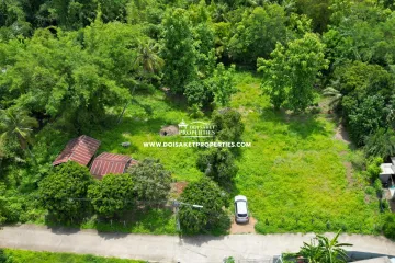 Land for sale in Luang Nuea, Chiang Mai