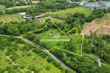 Land for sale in Choeng Doi, Chiang Mai