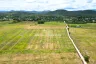Land for sale in Pa Pong, Chiang Mai