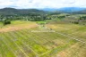 Land for sale in Pa Pong, Chiang Mai
