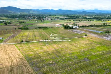 Land for sale in Pa Pong, Chiang Mai