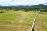 Land for sale in Pa Pong, Chiang Mai