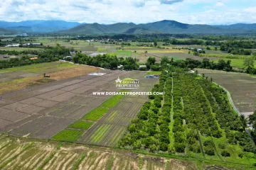 Land for sale in Pa Pong, Chiang Mai