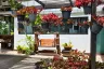 4 Bedroom House for sale in Pa Pong, Chiang Mai