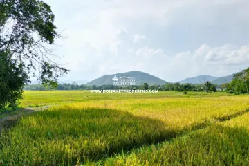 Land for sale in Luang Nuea, Chiang Mai