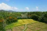Land for sale in Luang Nuea, Chiang Mai