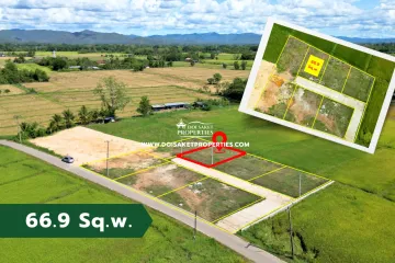 Land for sale in Pa Pong, Chiang Mai