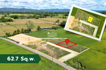 Land for sale in Pa Pong, Chiang Mai