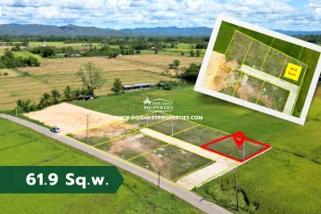 Land for sale in Pa Pong, Chiang Mai
