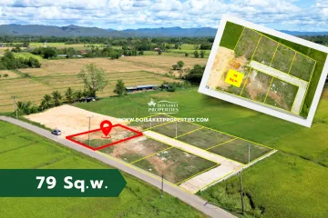 Land for sale in Pa Pong, Chiang Mai